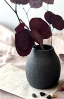 Black Crater Vases