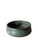 Luna Garlic Grater in Echeveria Teal