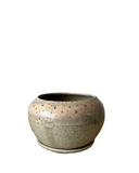 Lichen Planter
