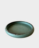 Luna Crescent Plates in Echeveria