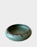 Luna Crescent Plates in Echeveria