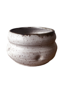 Flower pot on white background