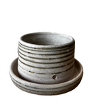 Small Lined Planter in Mist