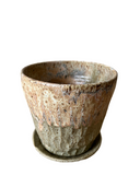 Lichen Carved Planter