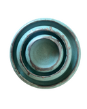 Luna Crescent Plates in Echeveria