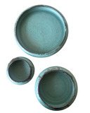 Luna Crescent Plates in Echeveria